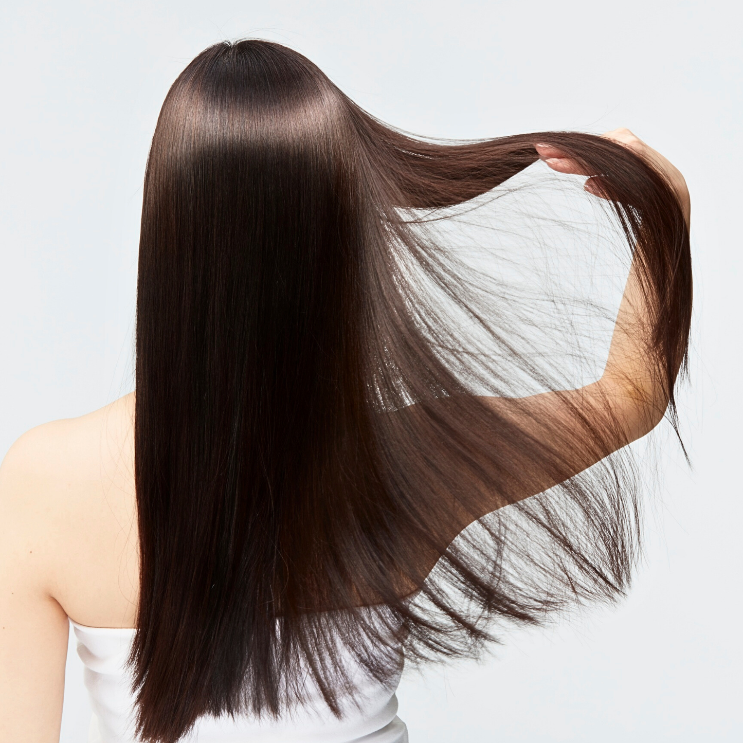 Pack Capilar Argán Hidratación y Restauración Total | Shampoo + Acondicionador + Máscara Botox + Sérum Everglam (Incluye de REGALO: Cepillo + Colet elegante)