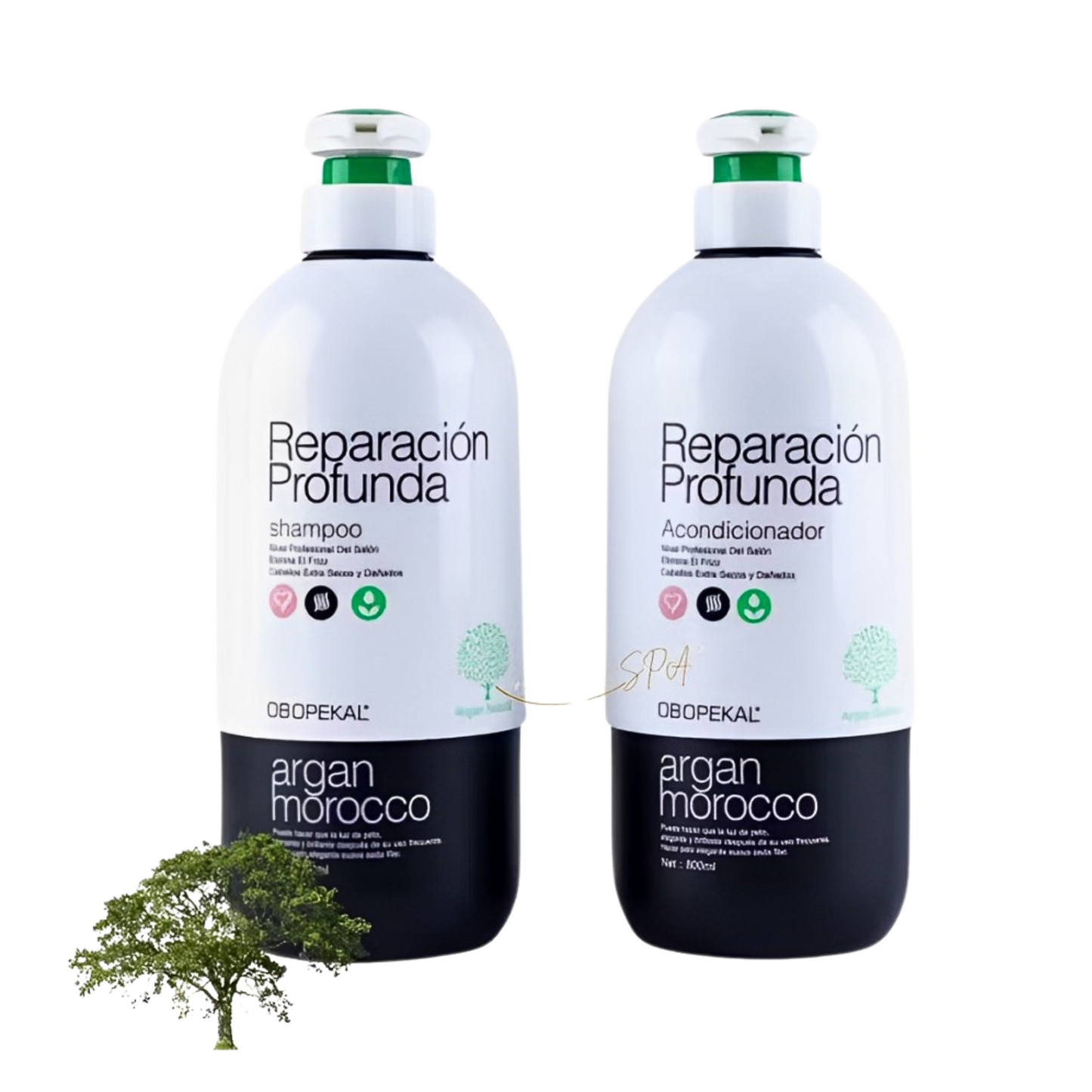 Pack Shampoo Y Ancondicionador Reparación Argan Morocco 800ml Pack Shampoo Y Ancondicionador Reparación Argan Morocco 800ml