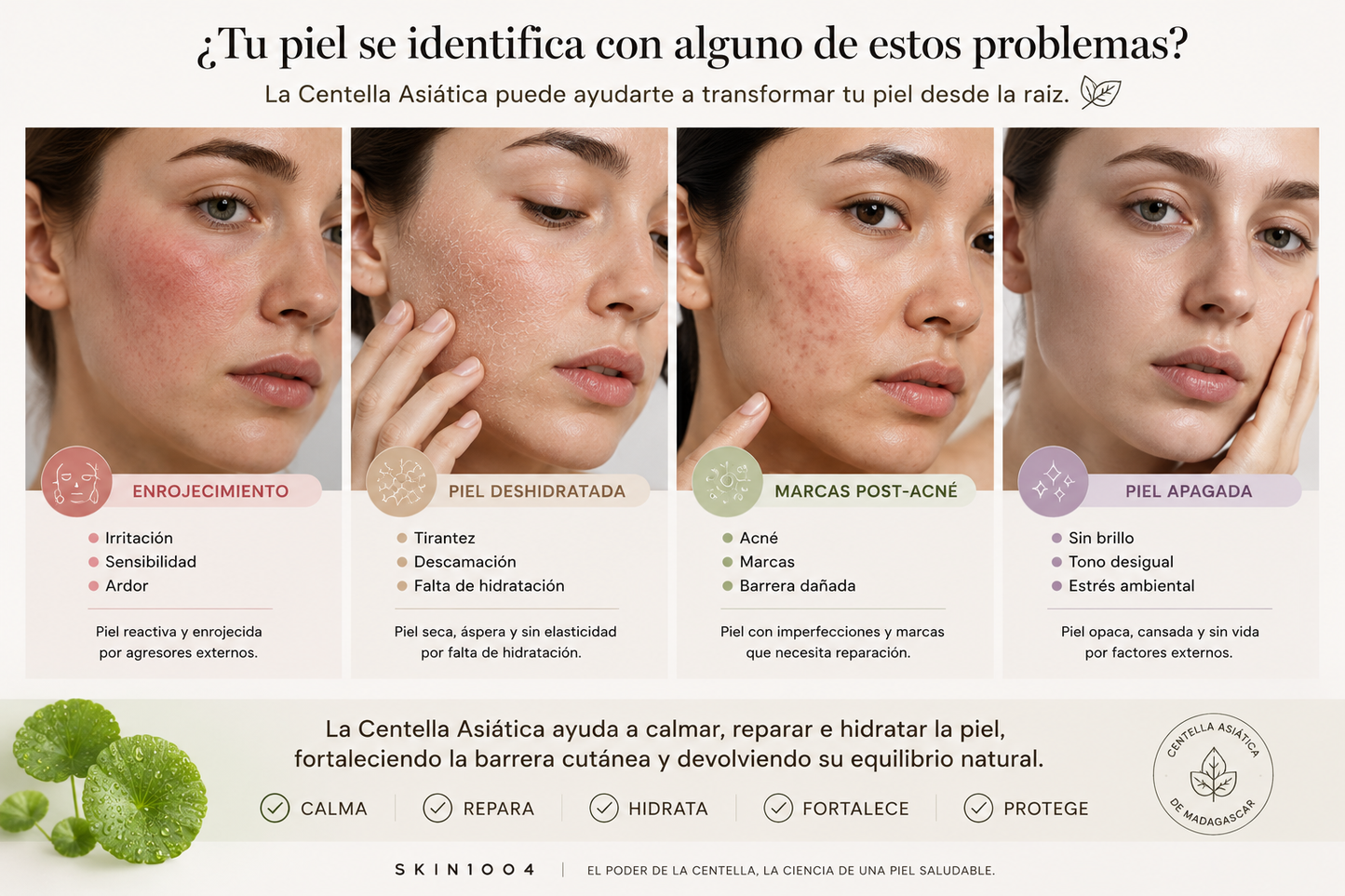 🇰🇷✨ SKIN1004 Madagascar Centella Ampoule 55 ml | Sérum Calmante e Hidratante | Skincare Coreano Original