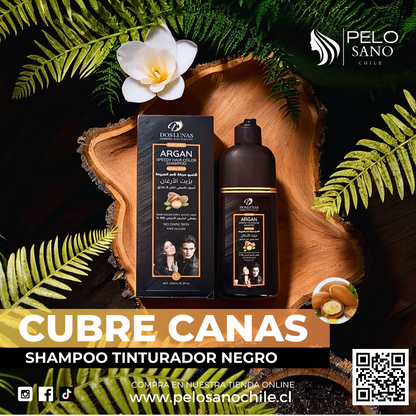 Shampoo Cubre Canas Tinturador Color Negro con Argán 420 ml