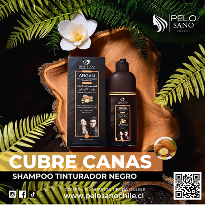 Kit 2x Shampoo Tinturador Negro Natural con Argán | Cobertura de Canas Instantánea y Nutrición Profunda | 420 ml Copacabana  (Incluye de REGALO: Manual de aplicación + Par de guantes) (Copia)