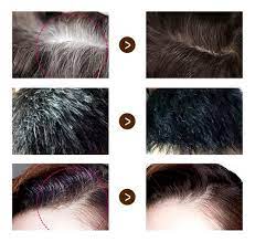 Kit 2x Shampoo Tinturador Castaño Claro Natural con Argán | Cobertura de Canas Instantánea y Nutrición Profunda | 420 ml Copacabana  (Incluye de REGALO: Manual de aplicación + Par de guantes)